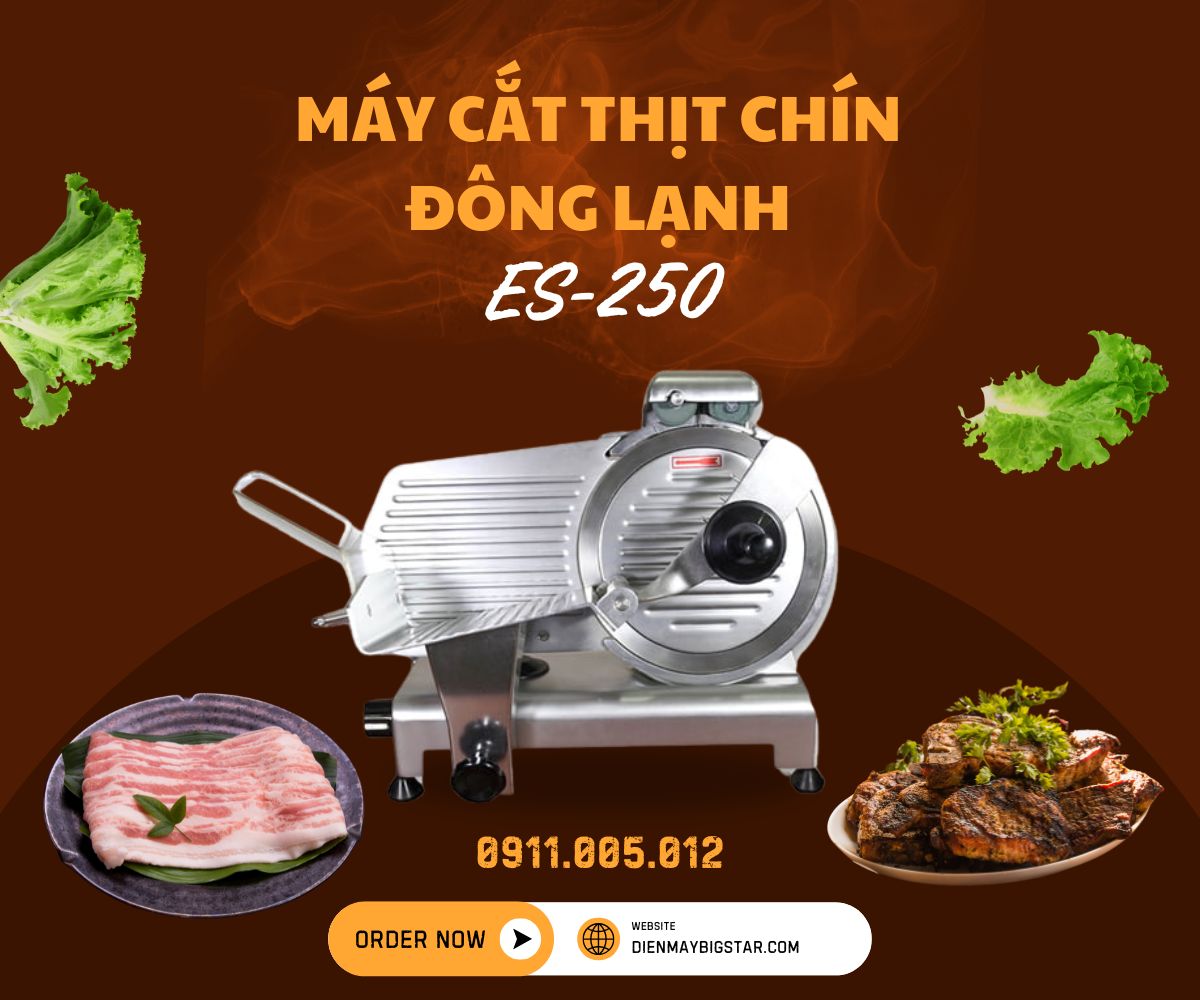 Máy cắt thịt chín đông lạnh ES-250